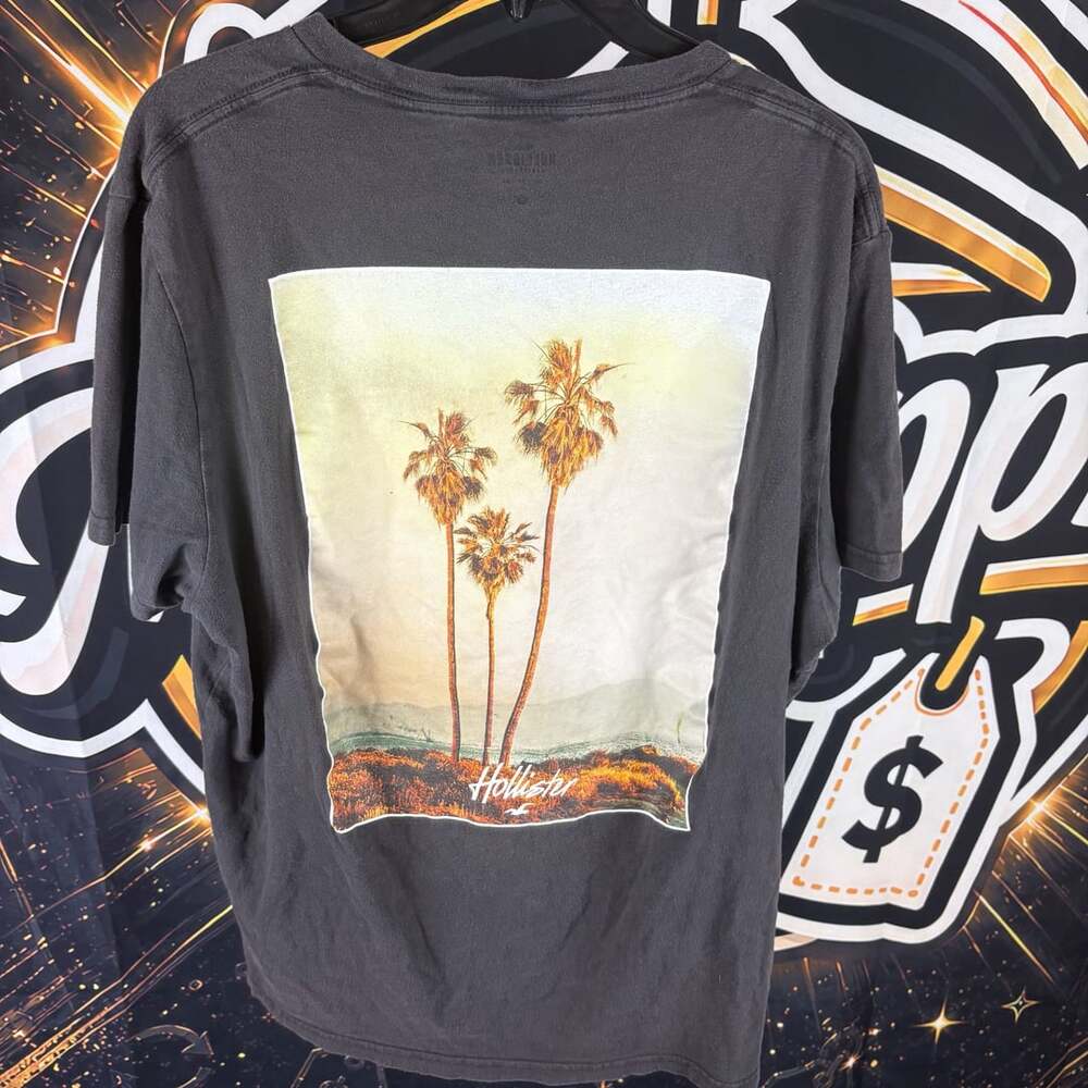 Hollister Palm Trees California Graphic T-Shirt Gray Men's XL